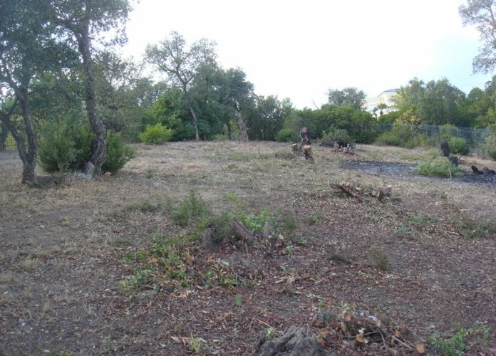 For sale building land of 1826sqm with sea view, in aux issambres near the sea (7)